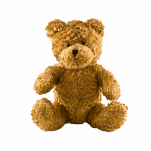 Teddybeer Knuffel